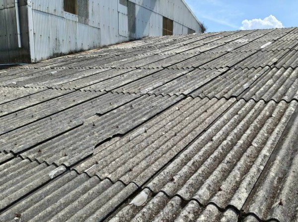 波型スレート　補修前